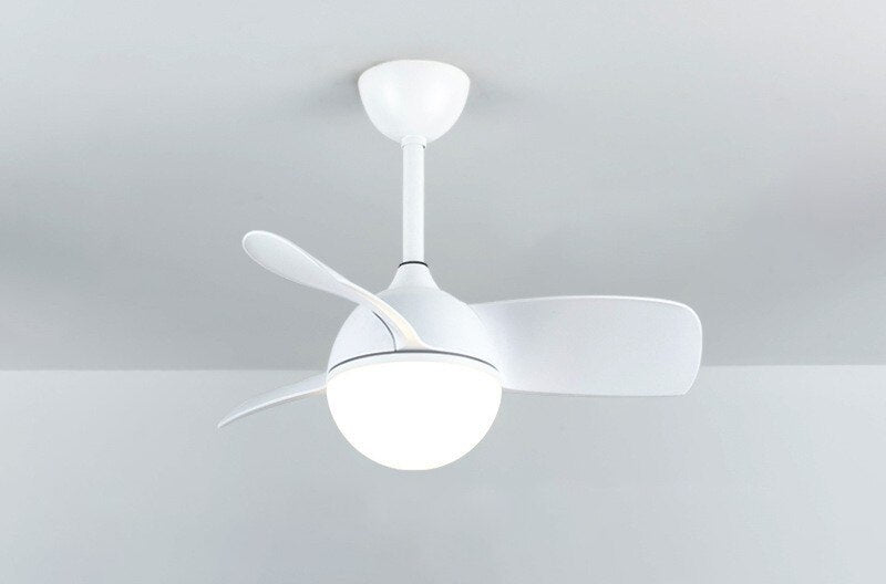 Modern LED Ceiling Fan Light for Kids Bedroom, 6-Speed Variable DC Motor, 24W LED Light, 30/36 inch Ceiling Fans