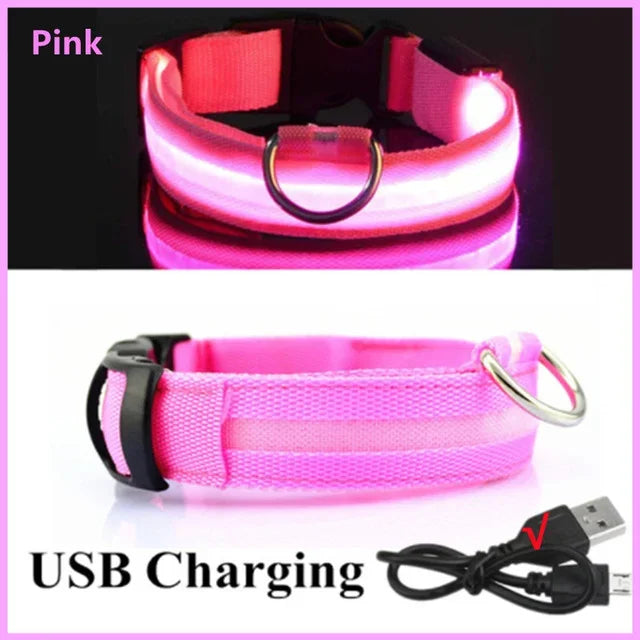 LED Glowing Dog Collar - USB Rechargeable Luminous Night Safety Collar