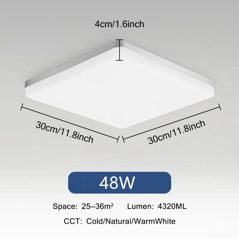 44302383808769|44302383841537