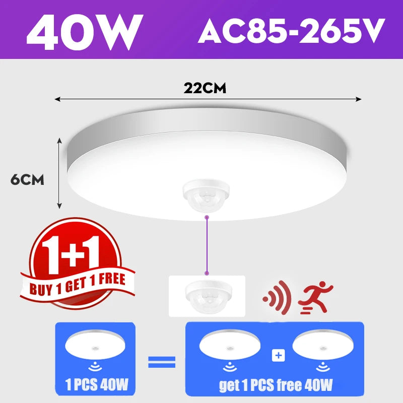 45505917387009|45505917452545