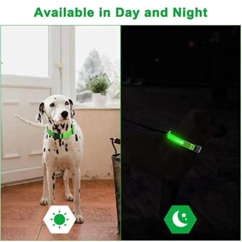 LED Glowing Dog Collar - USB Rechargeable Luminous Night Safety Collar