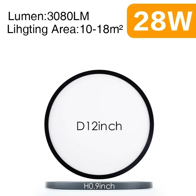 45424579739905|45424579772673|45424579805441