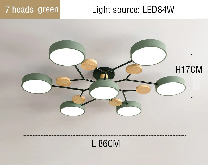 44437425520897|44437425619201