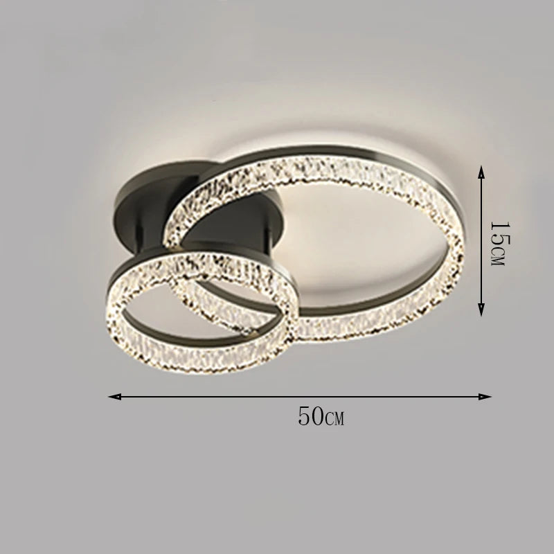 Nordic home decoration salon bedroom decor smart led lamp lights for room dimmable Ceiling light lamparas indoor lighting