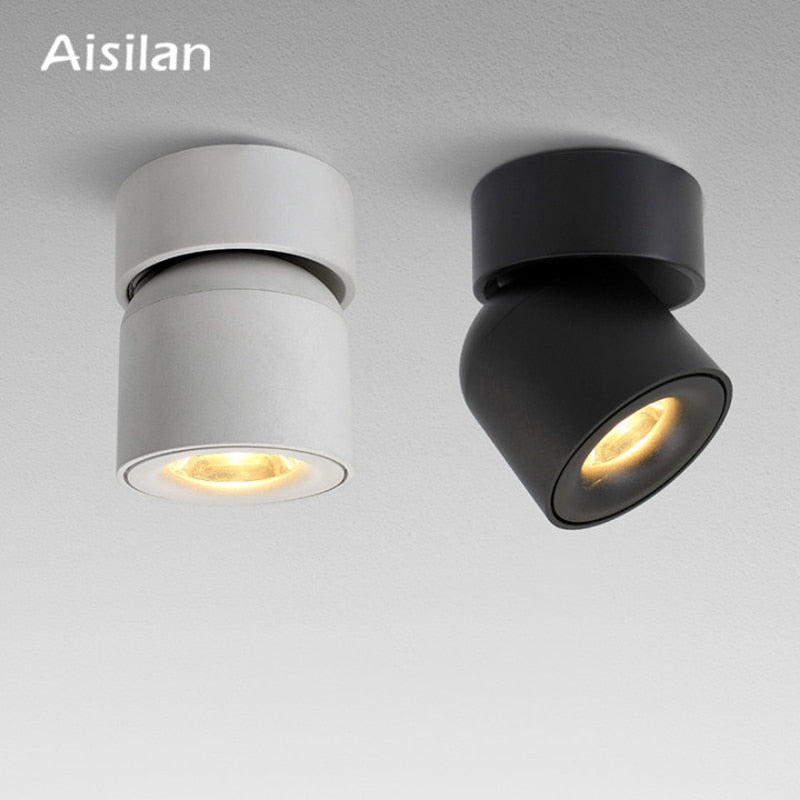 Aisilan Led Surface Mounted Ceiling Downlight Adjustable 90 Degrees Nordic Spot Light for Indoor Foyer,Living Room AC 90-260V