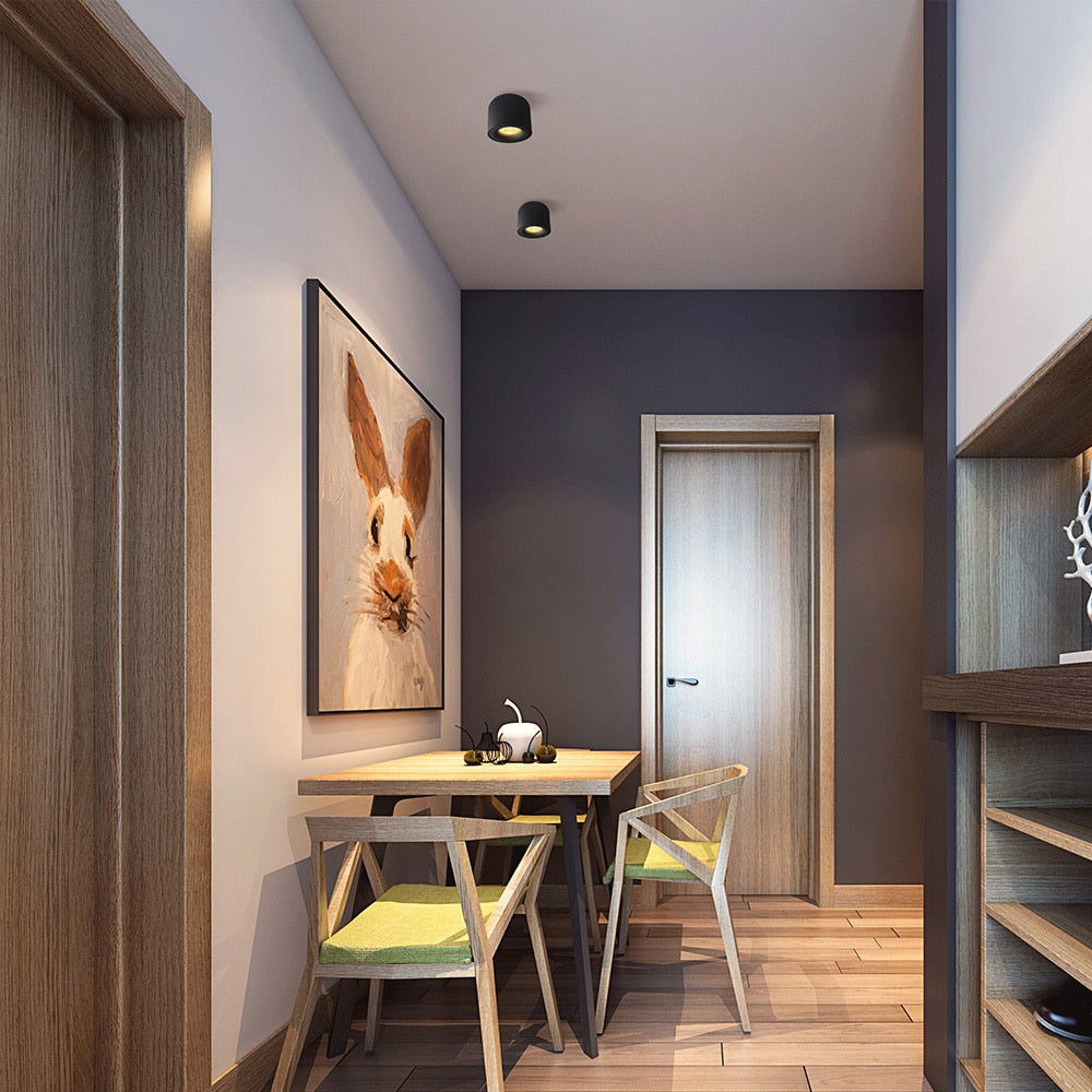 Aisilan LED Downlight Ceiling Spotlights Living Lamp Nordic Lighting For Kitchen Aisle Spot Light Surface Mounted AC90-260v