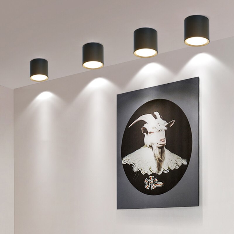 Surface Mounted 5W 7W 9W 12W 15W 18W 20W 24W LED downlight Ceiling Lamps led spot lights Ceiling Fixtures Lighting Indoor Light