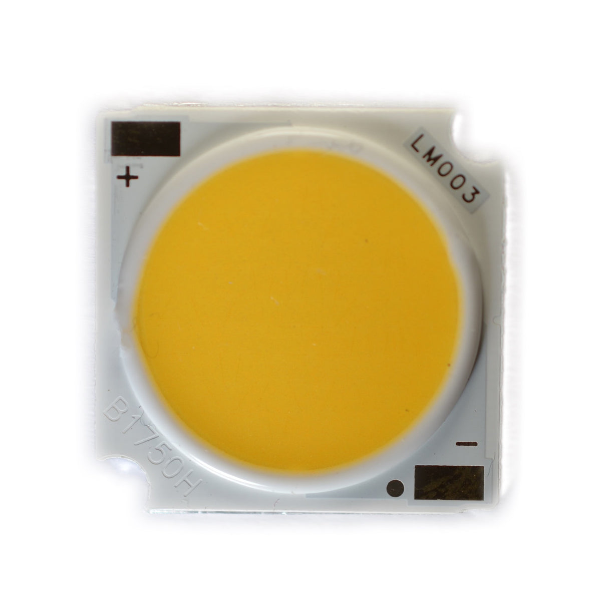 1PCS 19MM COB Warm white natural white RA CRI 80 led Wall Lamps Headlamps Spotlights Ceiling Lights Downlights