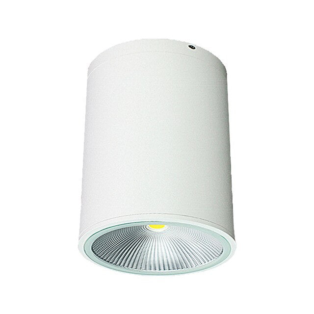 LED COB Ceiling Downlight IP65 Waterproof Outdoor Surface Mounted Aluminum Spot Light 5W 12W 20W 30W Hotel Villa Home Lighting