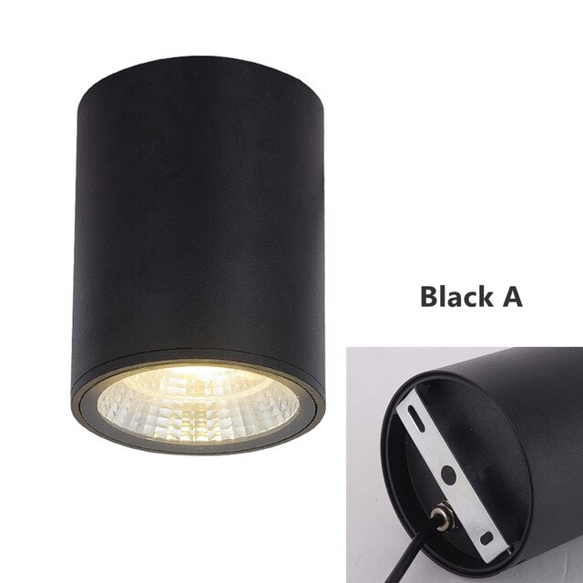 LED COB Ceiling Downlight IP65 Waterproof Outdoor Surface Mounted Aluminum Spot Light 5W 12W 20W 30W Hotel Villa Home Lighting