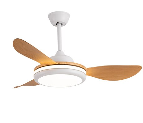 LED Ceiling Lamp Fan With Light DC Lighting Remote Control 220v Lights Modern Bedroom Hanging For Living Room Home Silent Lamps