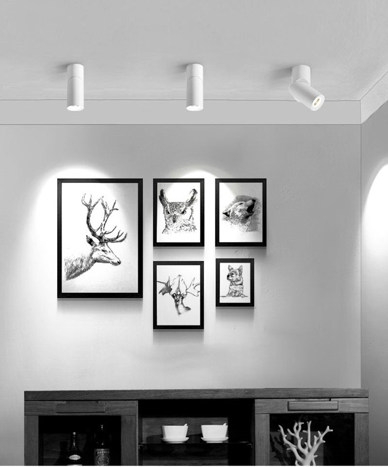 Dimmable Rotating LED Downlights COB LED Ceiling Spot Lights AC110-220V LED Wall Lamp Warm Cold White Indoor Lighting