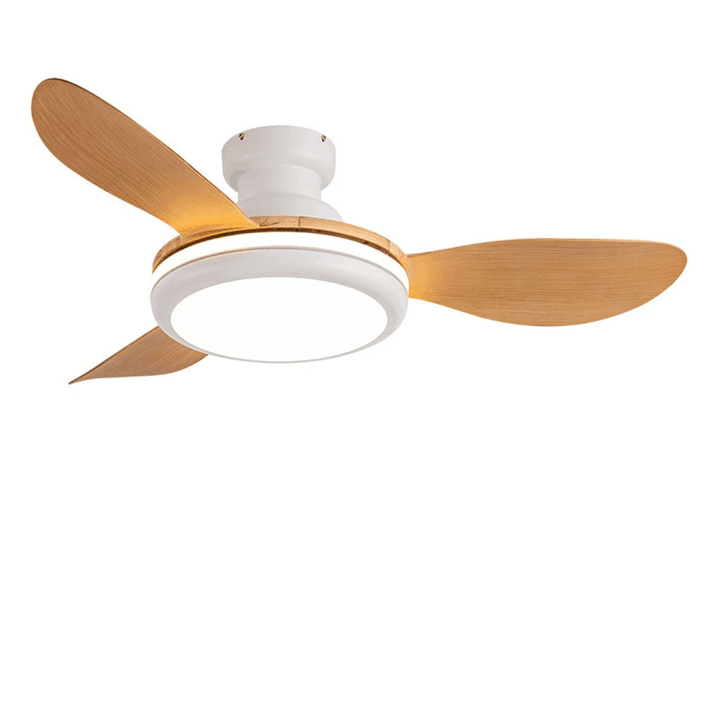 LED Ceiling Lamp Fan With Light DC Lighting Remote Control 220v Lights Modern Bedroom Hanging For Living Room Home Silent Lamps