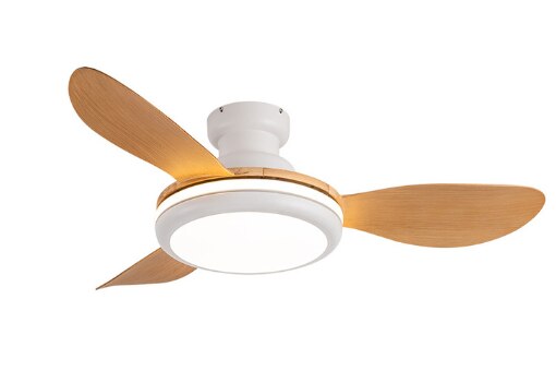 LED Ceiling Lamp Fan With Light DC Lighting Remote Control 220v Lights Modern Bedroom Hanging For Living Room Home Silent Lamps