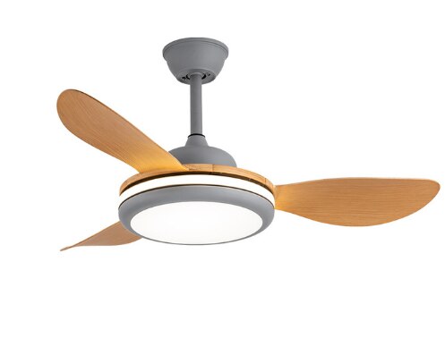 LED Ceiling Lamp Fan With Light DC Lighting Remote Control 220v Lights Modern Bedroom Hanging For Living Room Home Silent Lamps