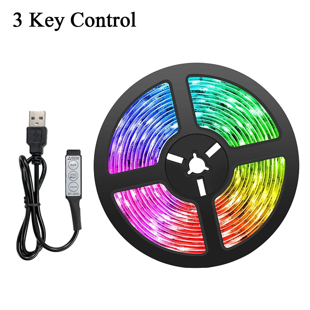 LED Strip Lights RGB 5050 2835 Bluetooth USB DC5V 1-5M Led Luces Flexible Ribbon For Room Decoration TV BackLight Diode Tape
