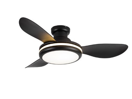 LED Ceiling Lamp Fan With Light DC Lighting Remote Control 220v Lights Modern Bedroom Hanging For Living Room Home Silent Lamps