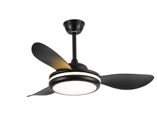 LED Ceiling Lamp Fan With Light DC Lighting Remote Control 220v Lights Modern Bedroom Hanging For Living Room Home Silent Lamps