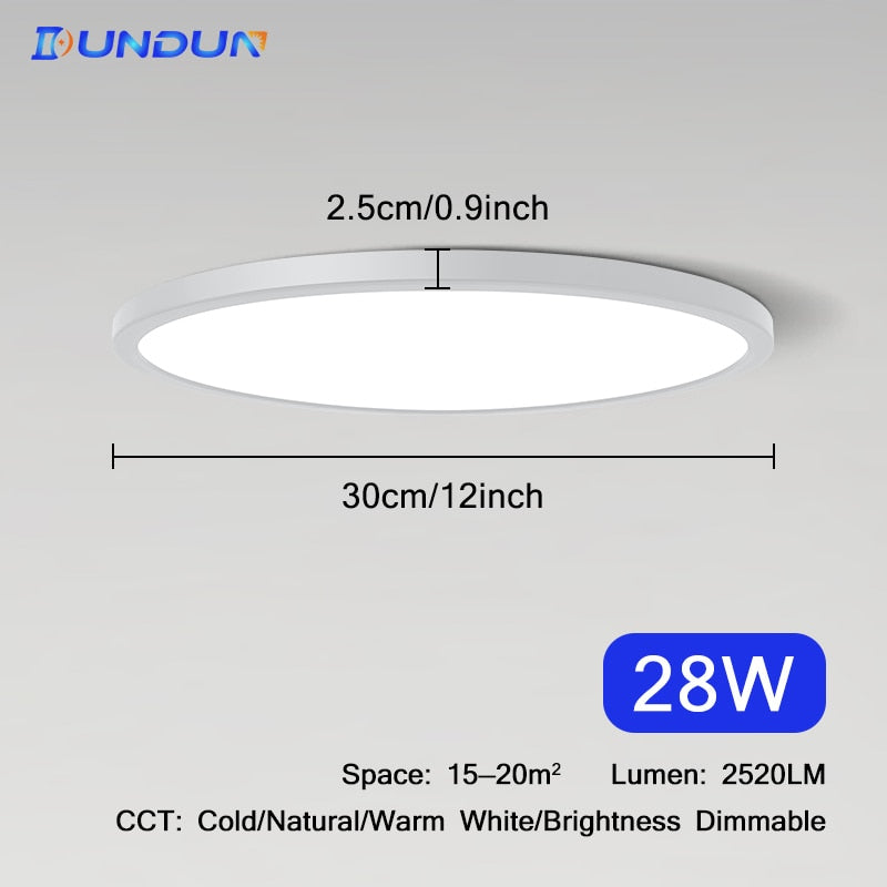 Ultrathin 0.9inch Brightness Dimmable LED Ceiling Lamp for bedroom Living Room kitchen Lamps Room Lights Led Ceiling Lighting