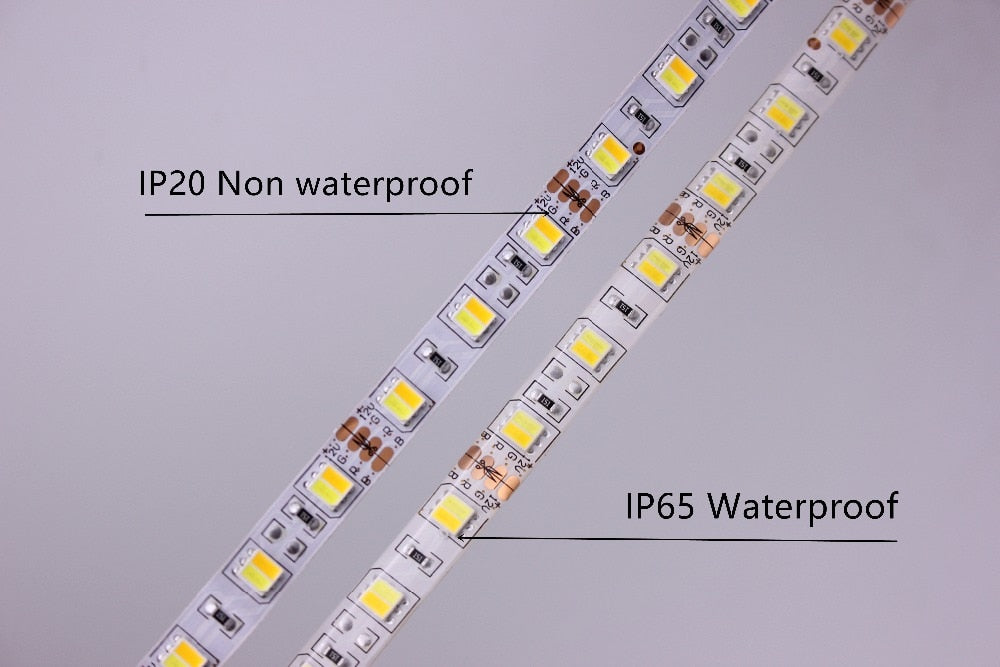 SMD5050 RGB LED Strip Waterproof 5M 300LED DC 12V 24V CCT RGBCCT RGBW RGBWW WHITE WARM WHITE Fita LED Light Strips Flexible