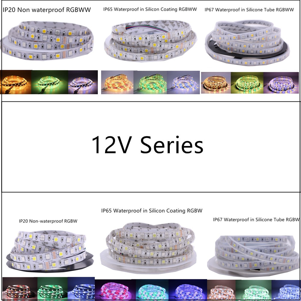 SMD5050 RGB LED Strip Waterproof 5M 300LED DC 12V 24V CCT RGBCCT RGBW RGBWW WHITE WARM WHITE Fita LED Light Strips Flexible