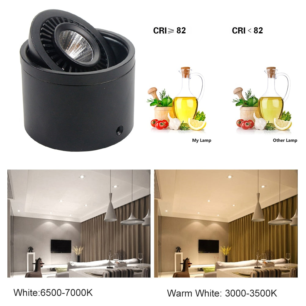 DBF 360 Degrees Rotatable Dimmable Surface Downlight 5W 7W 9W 15W Ceiling Spot Lights for Home Living room Background Wall
