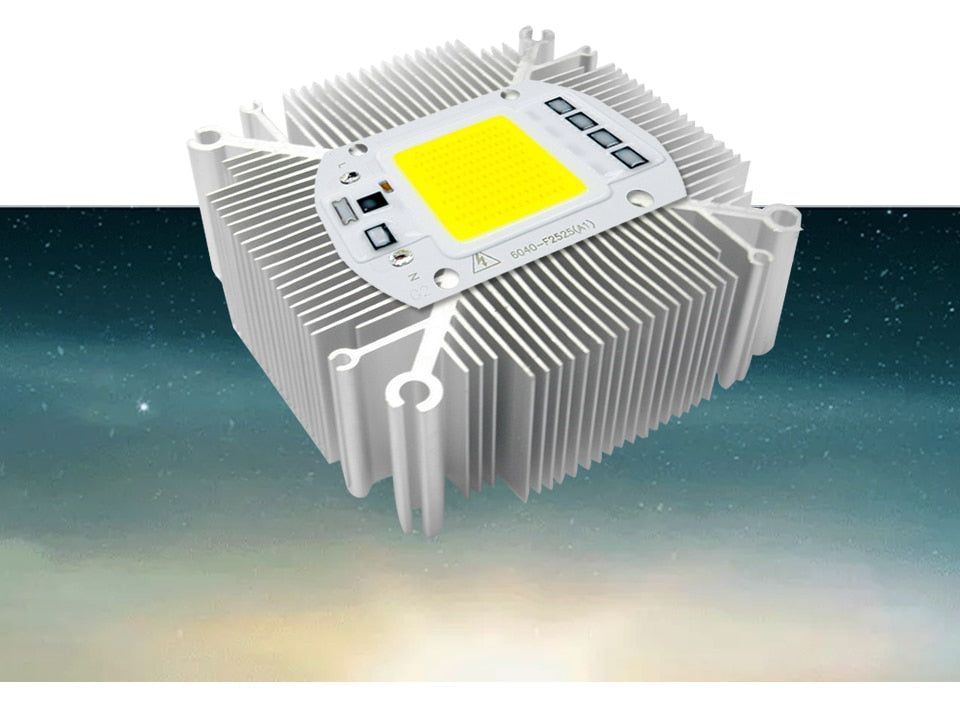 LED COB Lamp 10W 20W 30W 50W Real AC 220V 230V IP65 Smart IC DIY LED Bulb Flood Light Spotlight For Projectors Driver Light