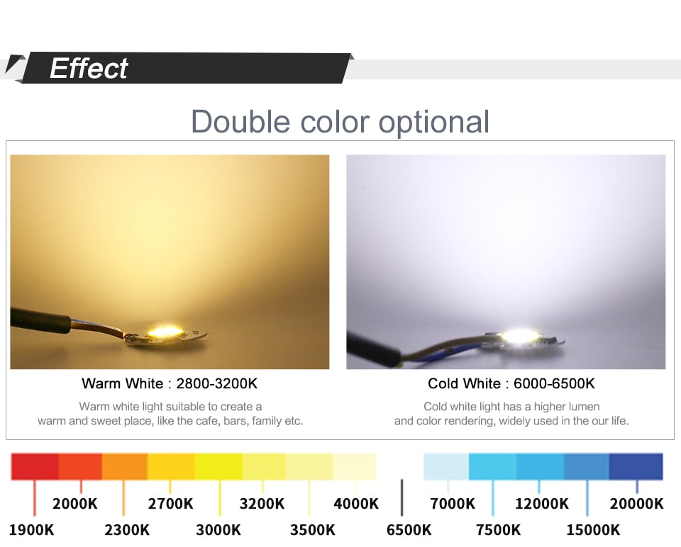 LED COB Lamp 10W 20W 30W 50W Real AC 220V 230V IP65 Smart IC DIY LED Bulb Flood Light Spotlight For Projectors Driver Light