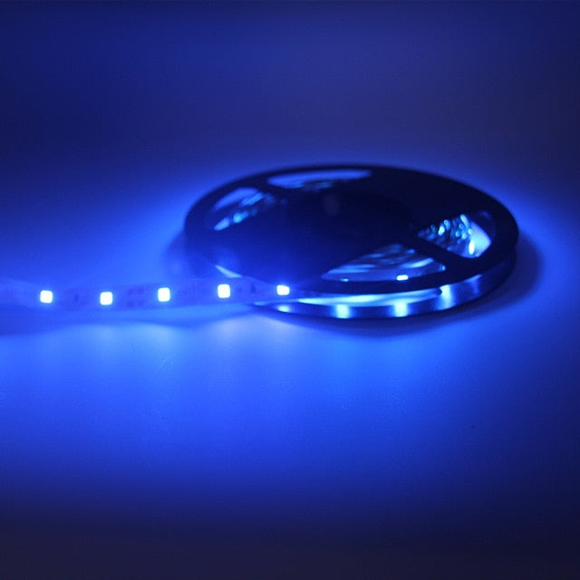 5m LED Strip 1m 2m 5m/pack SMD2835 Set Ultra Bright Light DC 12V Warm White Blue Red Green LED Ribbon Flexible lamp bulb