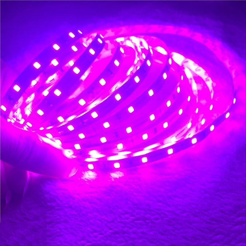 Pink LED Strip light IP65 Waterproof 3528 SMD 60LED/M 5M flexible LED rope bar light DC12V Led decoration tape