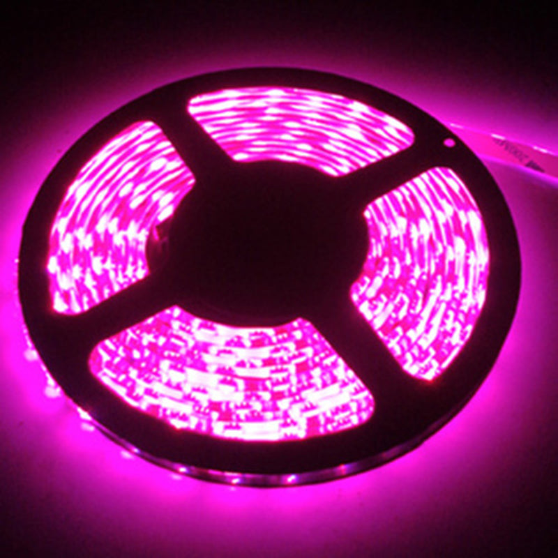 Pink LED Strip light IP65 Waterproof 3528 SMD 60LED/M 5M flexible LED rope bar light DC12V Led decoration tape