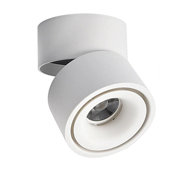 DBF 360 Degree Rotatable Surface Mounted Ceiling Downlight 7W 10W 12W 15W LED Ceiling Spot Light for Kitchen Living room Decor