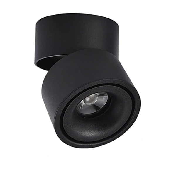 DBF 360 Degree Rotatable Surface Mounted Ceiling Downlight 7W 10W 12W 15W LED Ceiling Spot Light for Kitchen Living room Decor