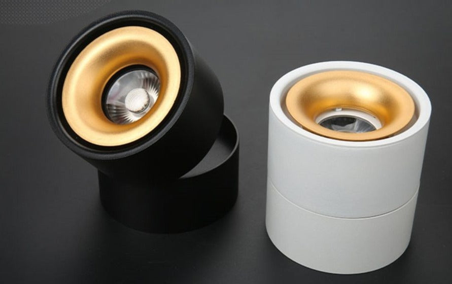 DBF 360 Degree Rotatable Surface Mounted Ceiling Downlight 7W 10W 12W 15W LED Ceiling Spot Light for Kitchen Living room Decor