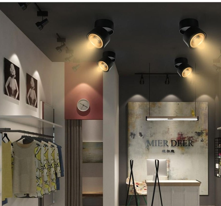 DBF 360 Degree Rotatable Surface Mounted Ceiling Downlight 7W 10W 12W 15W LED Ceiling Spot Light for Kitchen Living room Decor