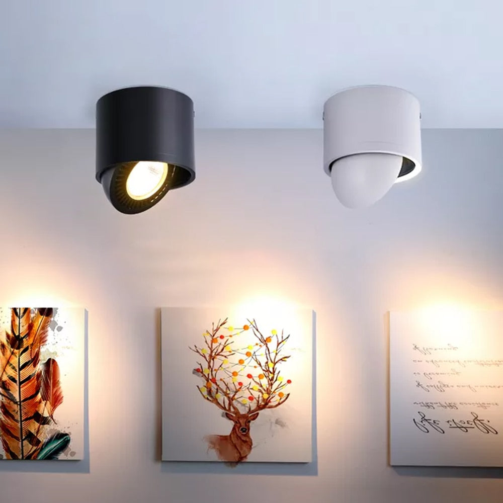 DBF Angle Adjustable Dimmable Surface Mounted Downlight Ceiling Lamp 5W 7W 9W 15W LED COB Spot Light AC110/220V Ceiling Light