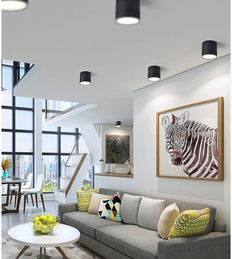 Dimmable LED Downlights 6W 9W 12W 15W 20W COB LED Ceiling Spot Lights AC110-220V No opening Ceiling lamps Cylinder LED Wall Lamp