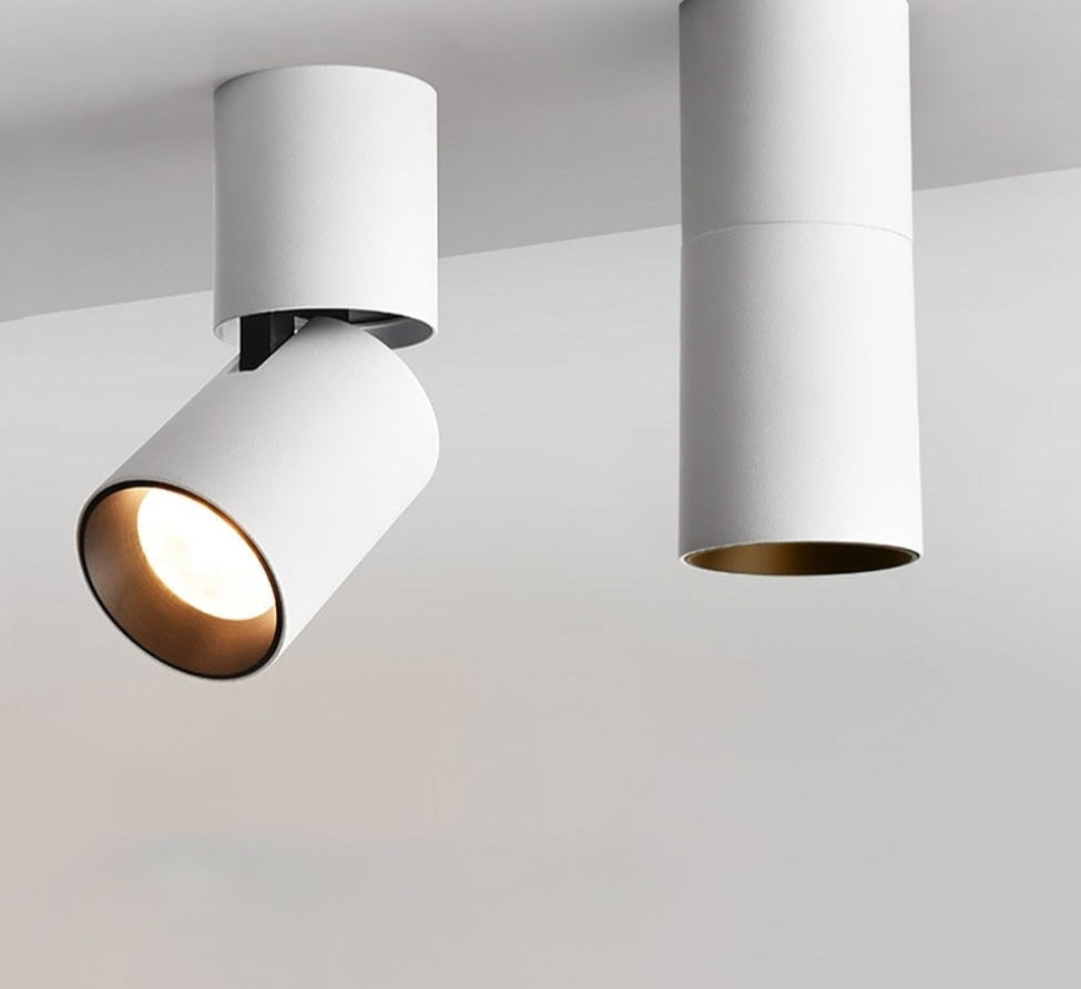 Led Surface Mounted Ceiling Downlight Adjustable 360 degrees Spot light for indoor Foyer, Living Room Kitchen AC90-260V