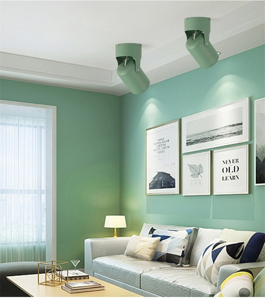 DBF Macaron Surface Mounted Ceiling Downlight 7W 10W 15W 20W LED Ceiling Spot Light AC110/220V for Kitchen Living room Decor