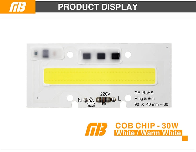 Smart IC Light LED Bright COB Bulb Lamp 30W 50W 70W 100W 150W AC220V 110V Input High Power IP65 Smart IC DIY For LED Flood Light