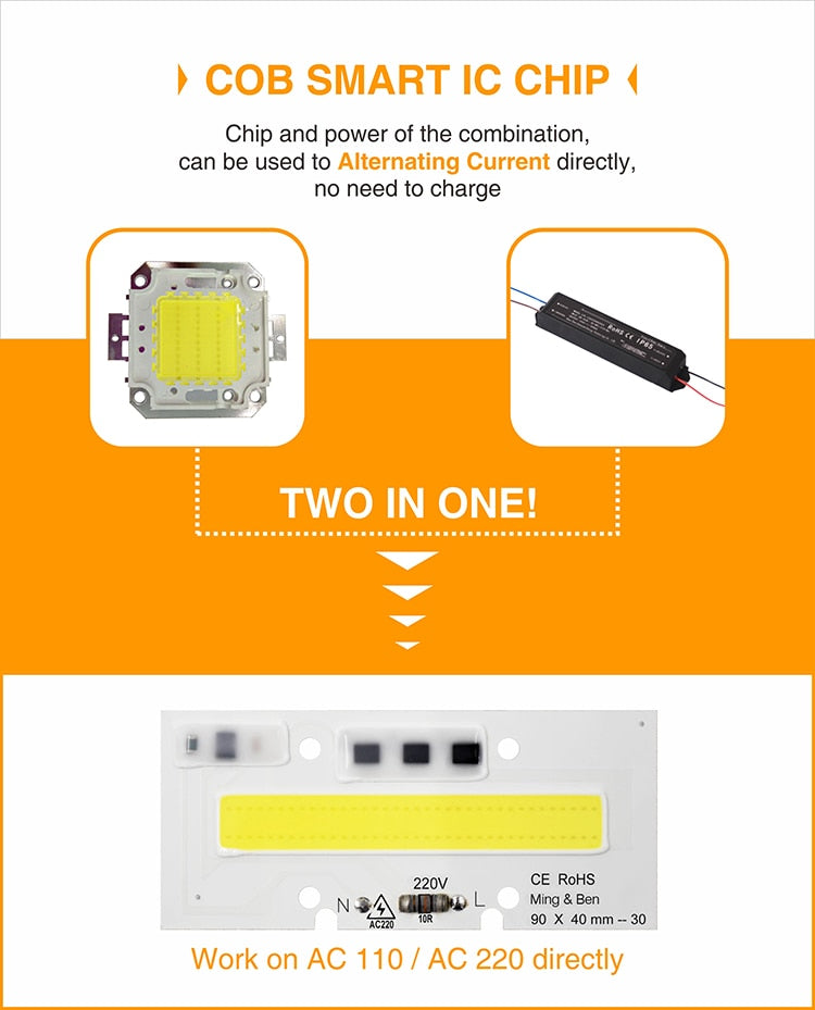 Smart IC Light LED Bright COB Bulb Lamp 30W 50W 70W 100W 150W AC220V 110V Input High Power IP65 Smart IC DIY For LED Flood Light