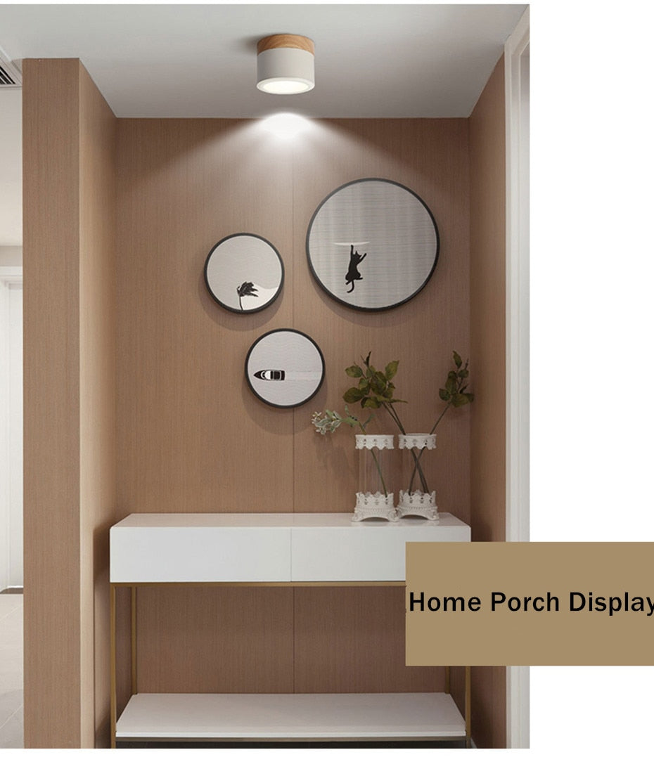 LED Downlight Dimmable 5W 12W Led Surface Mounted Ceiling Downlight Nordic Iron+wood Spot light for indoor Foyer ,Living Room