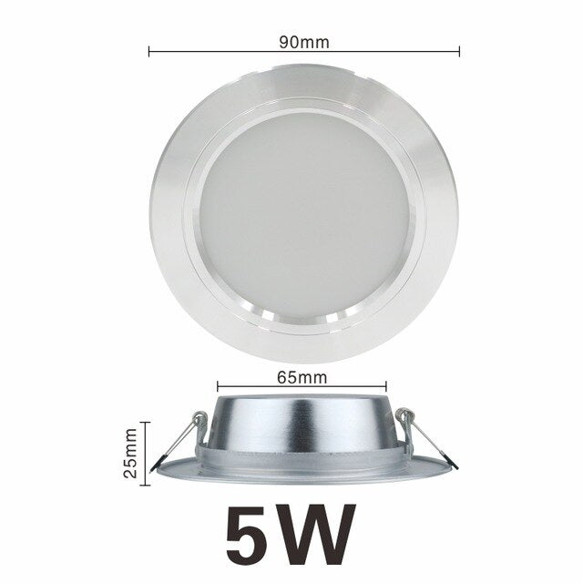 LED Downlight Ceiling silvery 5W 9W 12W 15W 18W Warm white/Cold white Led Light AC 220V 230V 240V