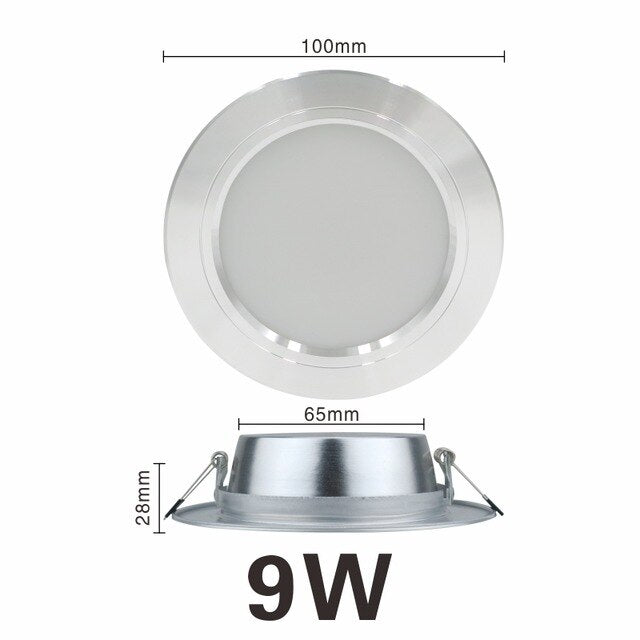LED Downlight Ceiling silvery 5W 9W 12W 15W 18W Warm white/Cold white Led Light AC 220V 230V 240V