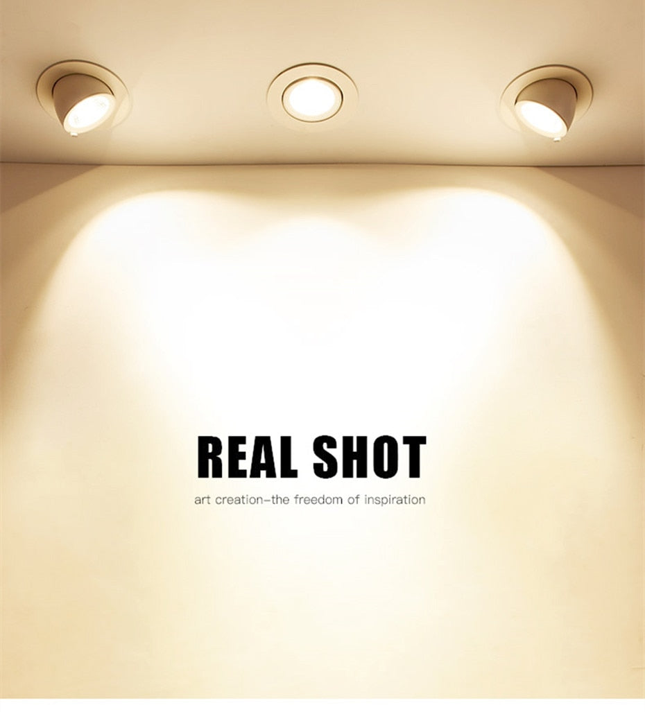 LED Downlight dimmable 7W 10W 15W 20W adjustable 360 Degree Recessed LED Ceiling Spot Light AC110V 220V Trunk downlight LED