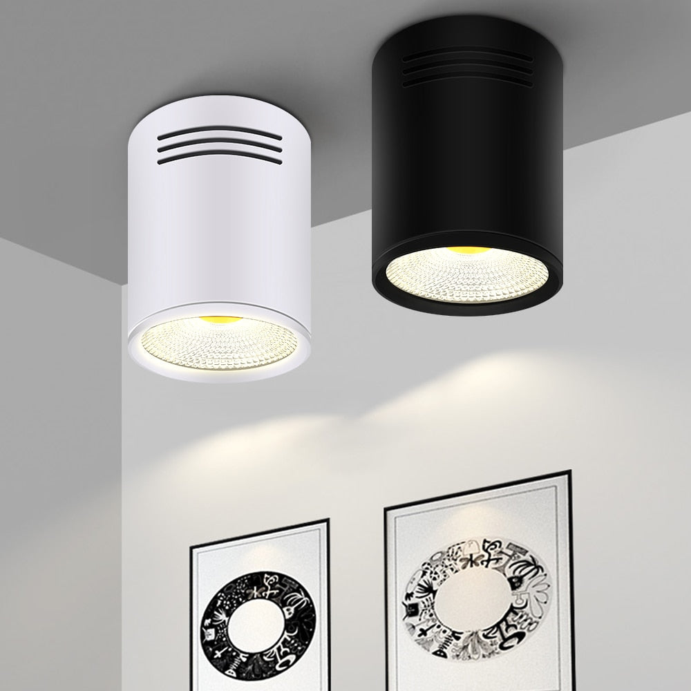 LED Downlights 3W 5W 7W 10W 15W Ceiling Lamps Spot Light AC85-265V Surface Mounted Down Light White/Warm white