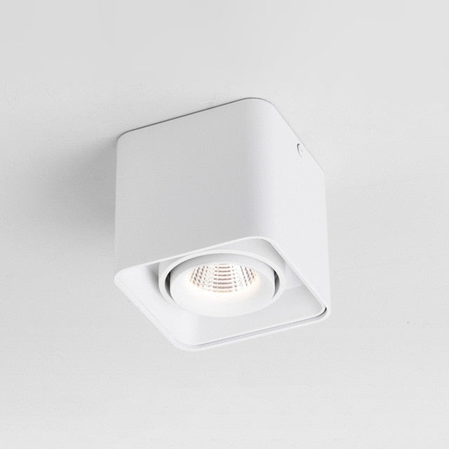 DBF Square COB LED Dimmable Downlights 10W 12W 20W 24W Surface Mounted LED Ceiling Lamps Spot Light LED Downlights AC85V-265V