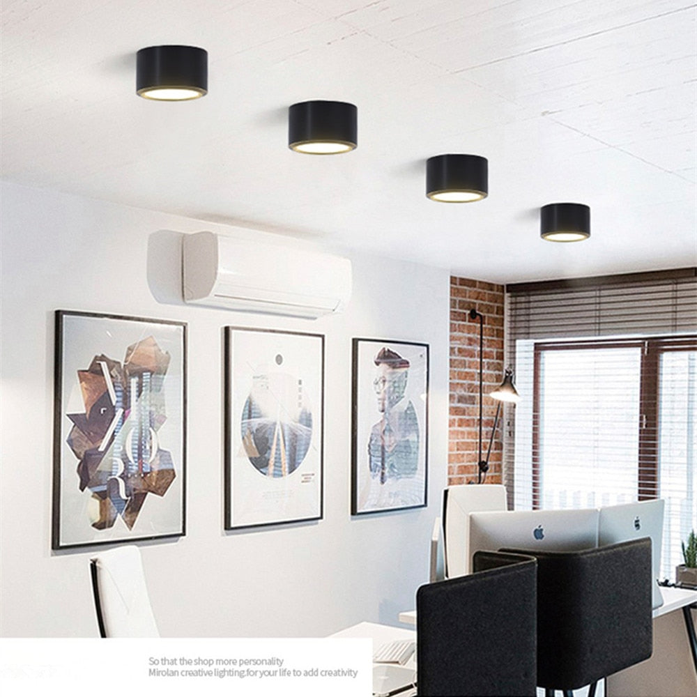 Surface Mounted LED Ceiling Light Living Room Lighting Fixture Bedroom Kitchen Light 5W 7W 10W 12W LED Spot Light for Home