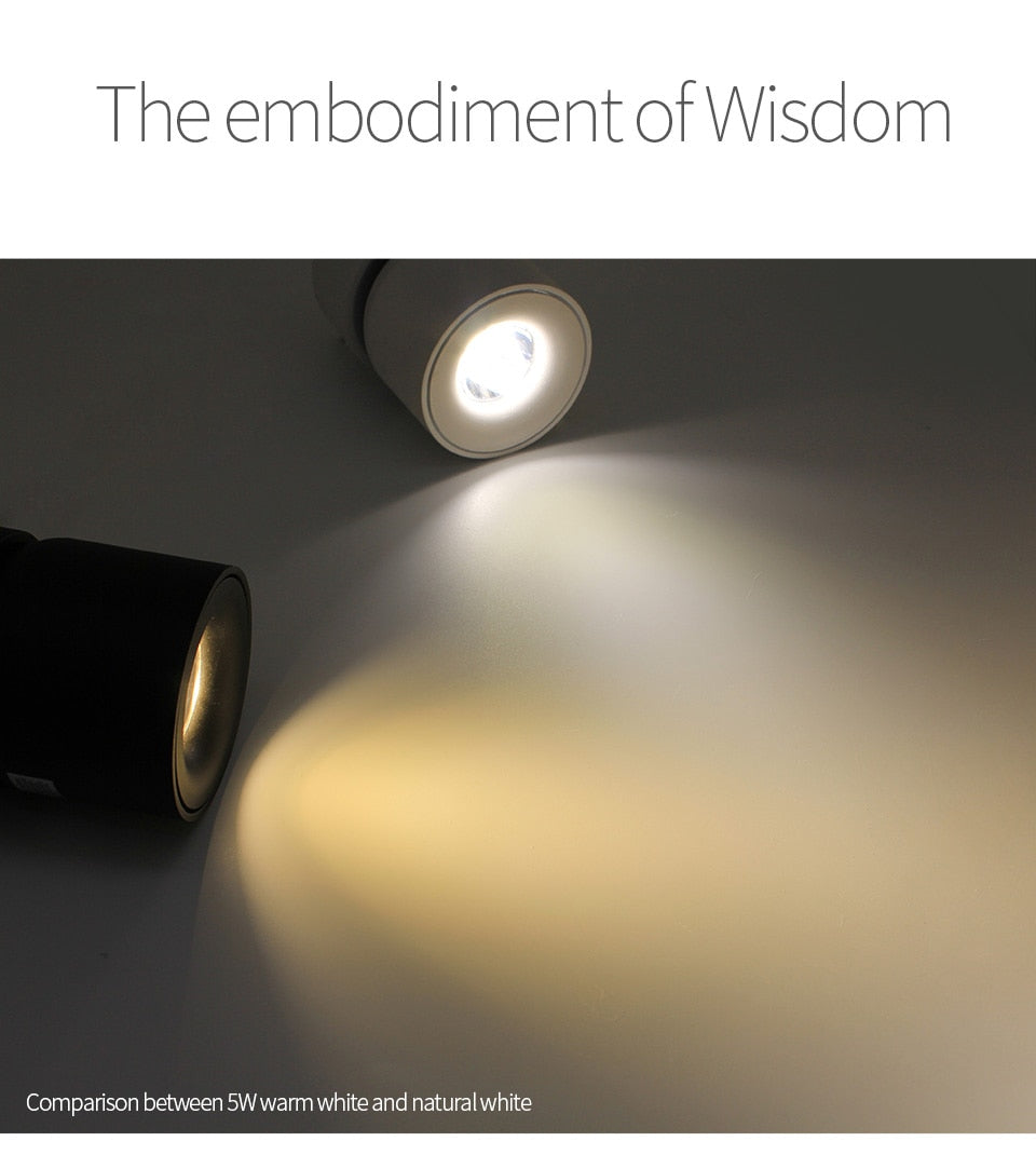 Led Surface Mounted Ceiling Downlight Adjustable 90 degrees Nordic Spot light for indoor Foyer , Living Room AC 90-260V