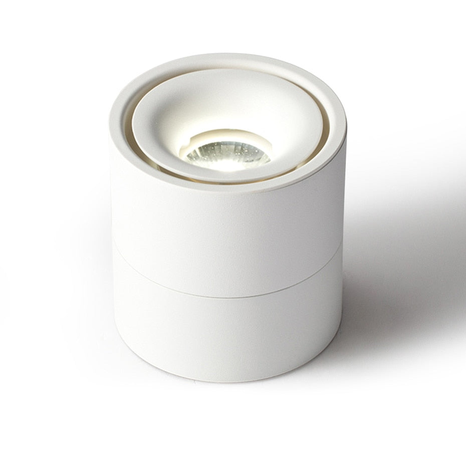 LED Surface Ceiling Light 7W 12W 15W Ceiling Lamp 220V 110V ,Foldable and Rotatable COB Spot light for Home Decor